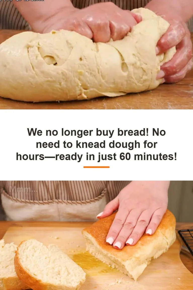 Homemade No-Knead Bread loaf with a crispy crust and soft interior.